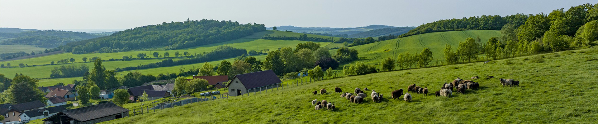 Farmička Dubovka - farma Neveklov - 2