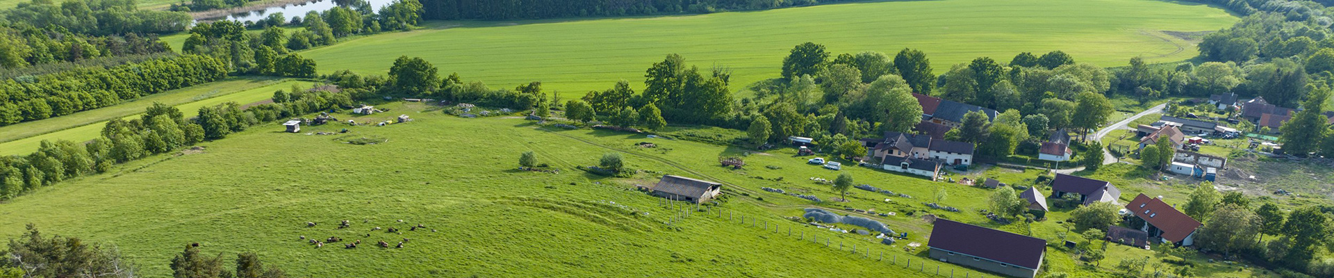 Farmička Dubovka - farma Neveklov - 4