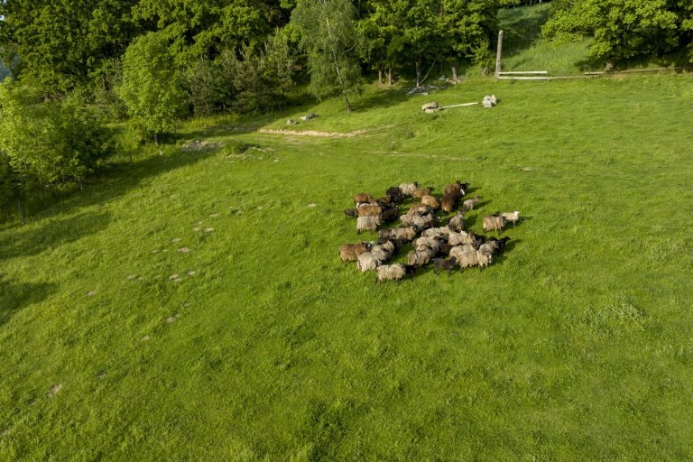 Fotogalerie Farmička Dubovka - foto č. 27