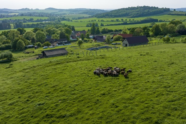 Fotogalerie Farmička Dubovka - foto č. 6