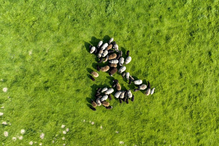 Fotogalerie Farmička Dubovka - foto č. 5