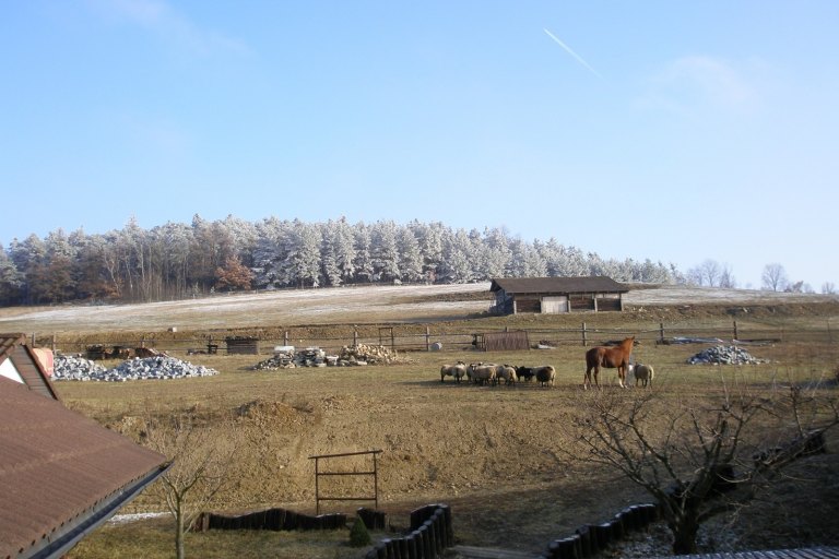 Zima - fotogalerie Farmička Dubovka - foto č. 14