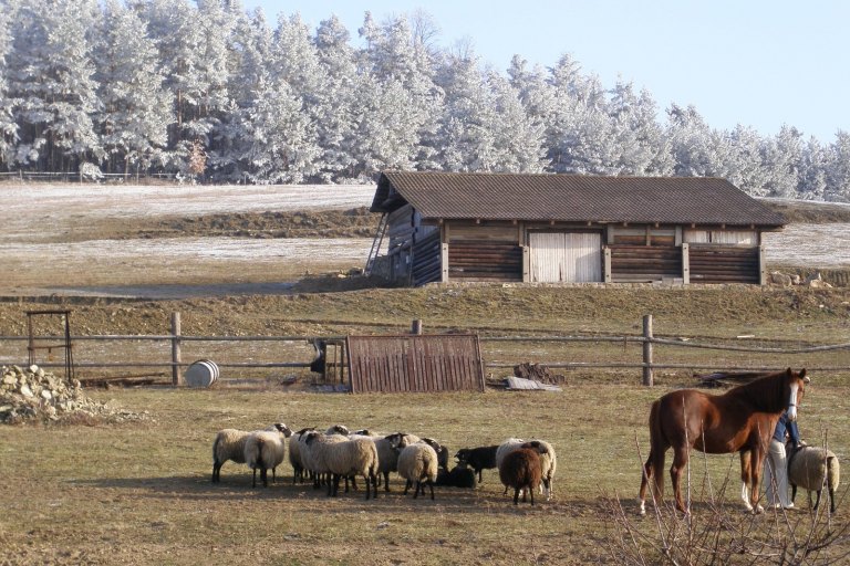 Zima - fotogalerie Farmička Dubovka - foto č. 13